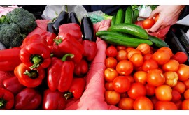 Количество овощей с нитратами в России выросло