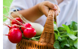 Ранние овощи и фрукты могут содержать нитраты