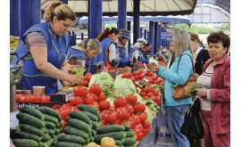 Есть ли нитраты в Подмосковных овощах, и что с этим делать